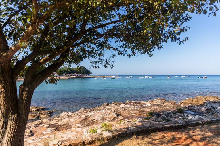 Camping Park Umag **** photo 7 Istrie Tohapi